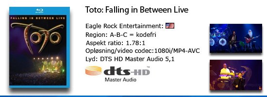 Toto: Falling in between live