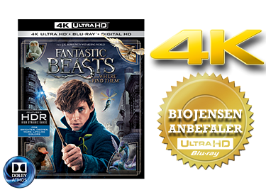 Fantastic Beasts and where to find them UHD 4K blu-ray anmeldelse