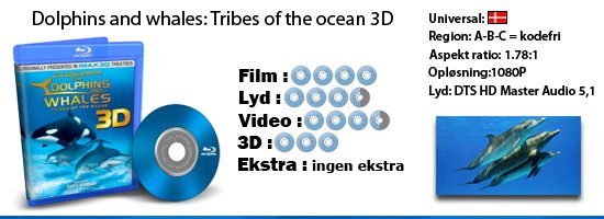 Dolphins and whales: tribes of the ocean - 3D