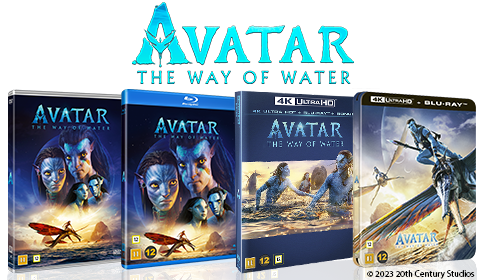 Avatar the way of water on disc