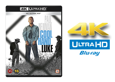 Cool Hand Luke UHD 4K blu-ray anmeldelse
